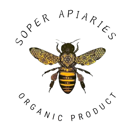 SA Logo
